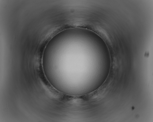 X0000092270210200709281231