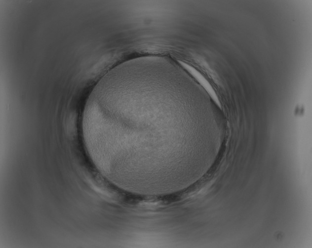 X0000092270213200709281231