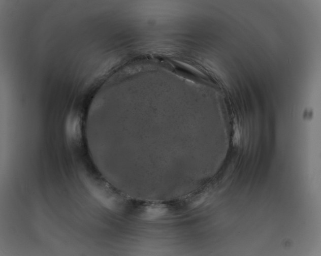 X0000092270214200709281231