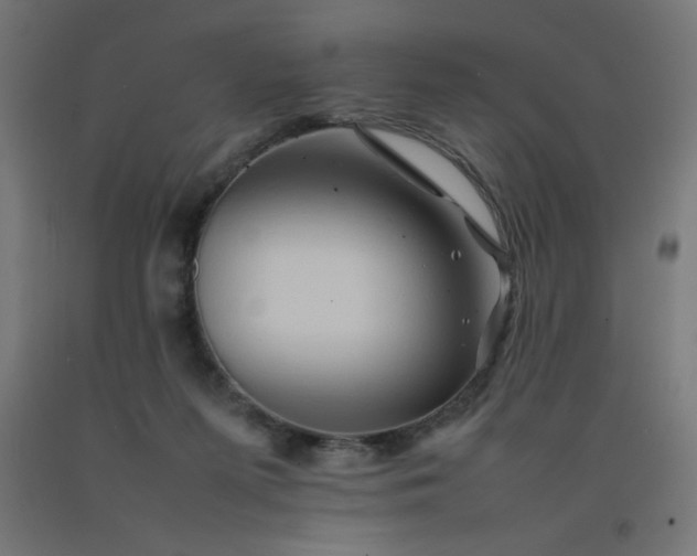 X0000092270215200709281231