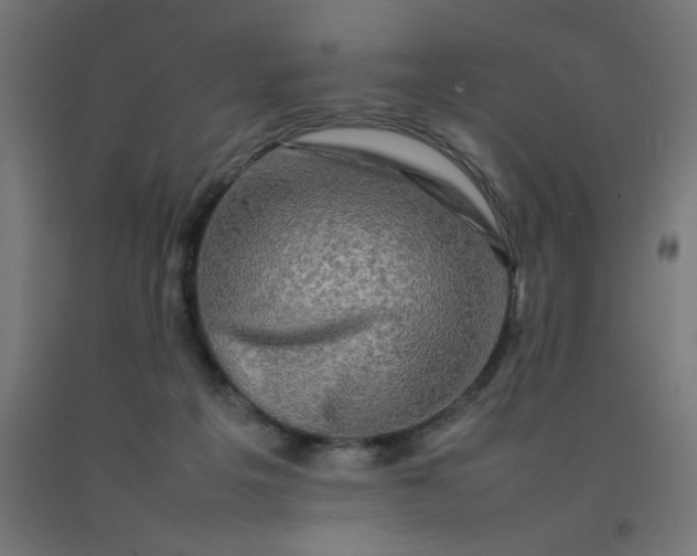 X0000092270217200709281231