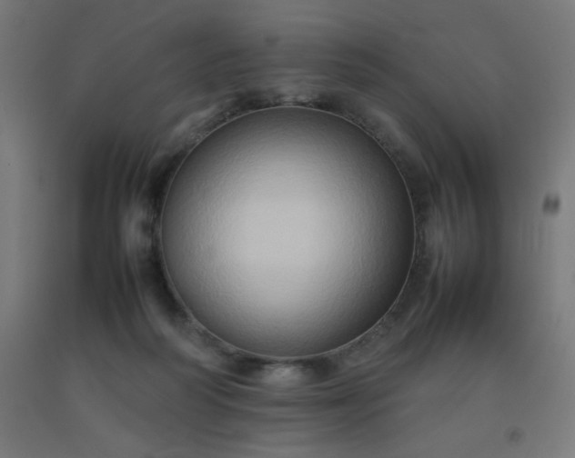 X0000092270218200709281231