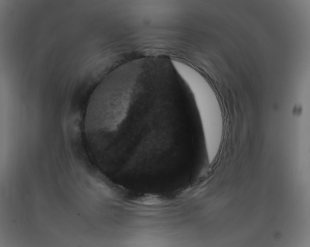 X0000092270219200709281231