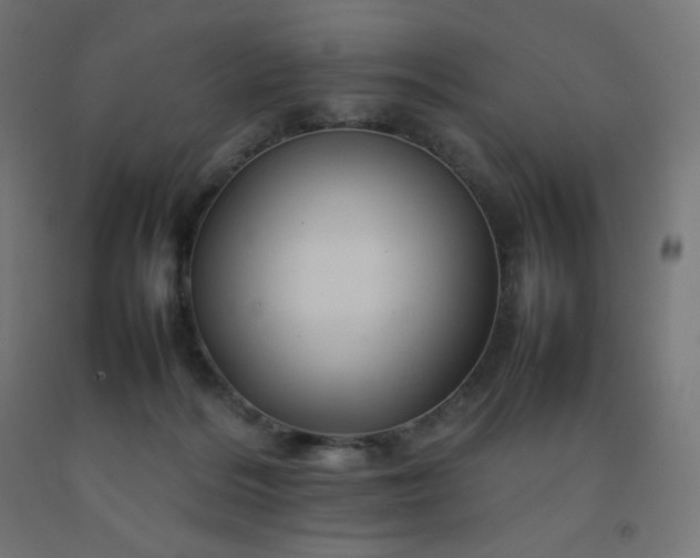 X0000092270220200709281231