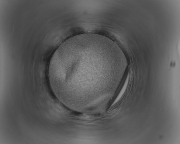X0000092270221200709281231