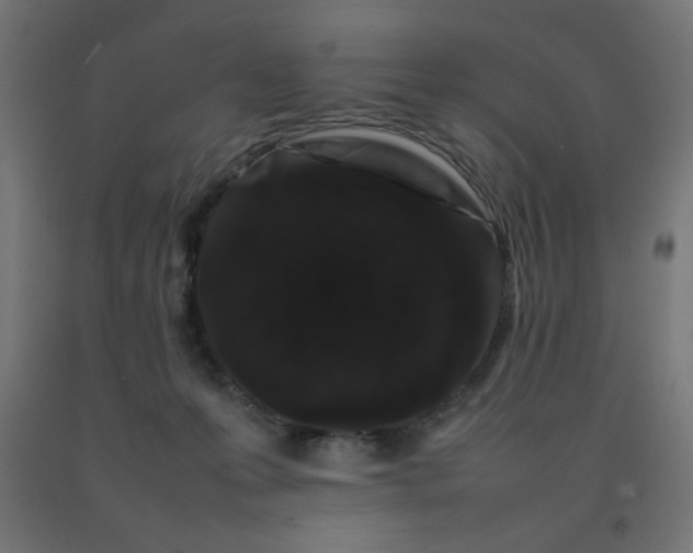 X0000092270223200709281230