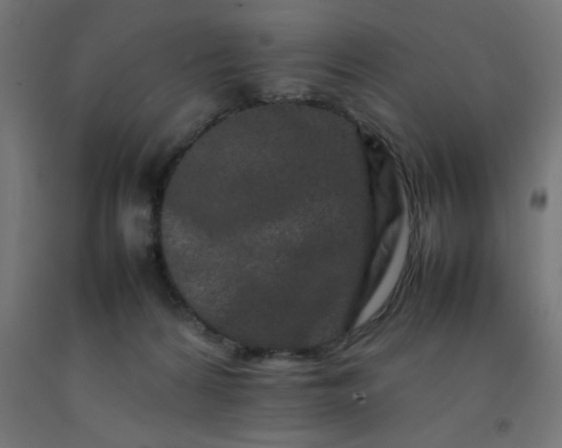 X0000092270224200709281230