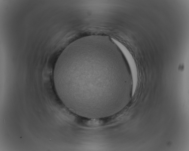 X0000092270225200709281230