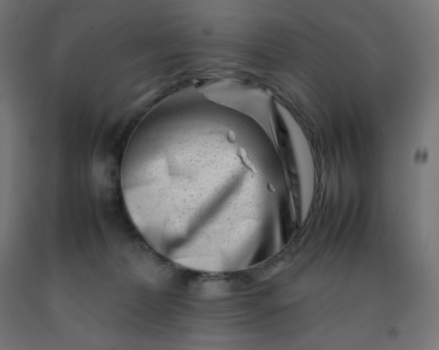 X0000092270228200709281230