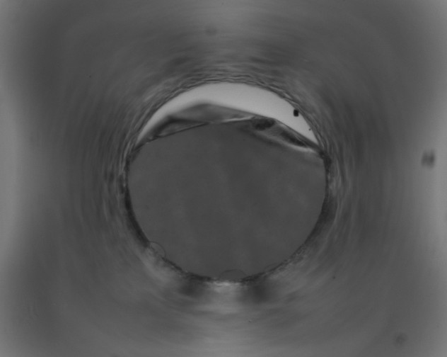 X0000092270233200709281230