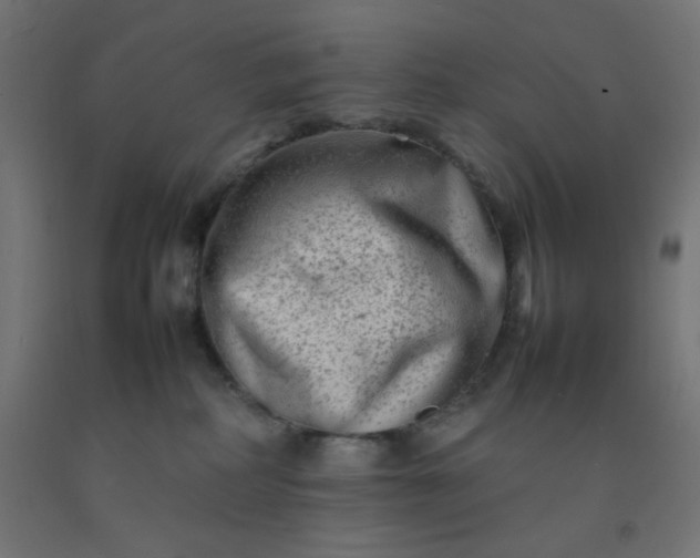 X0000092270234200709281230