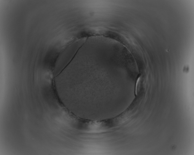 X0000092270235200709281230