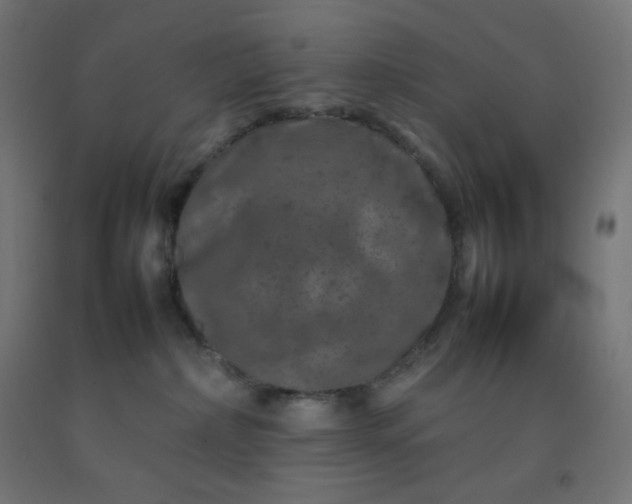 X0000092270236200709281230