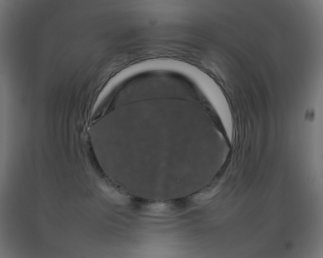 X0000092270237200709281230
