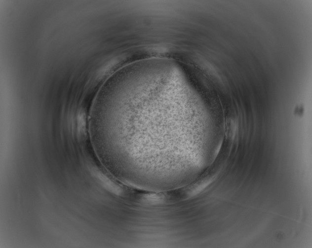X0000092270238200709281230