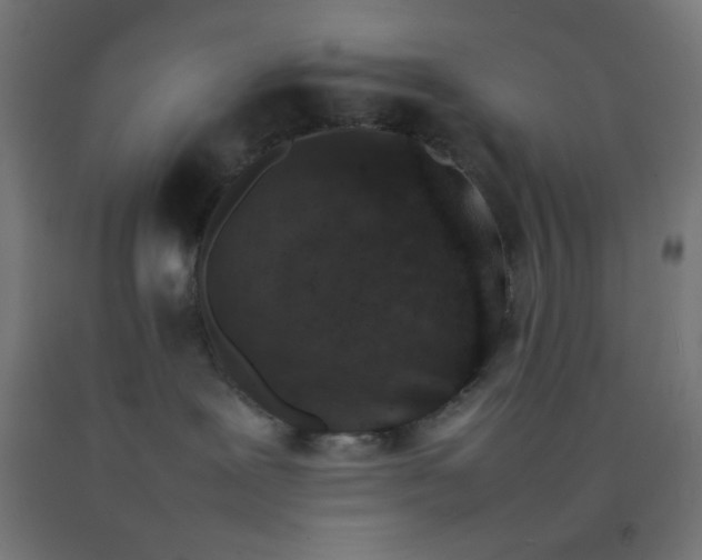 X0000092270239200709281230