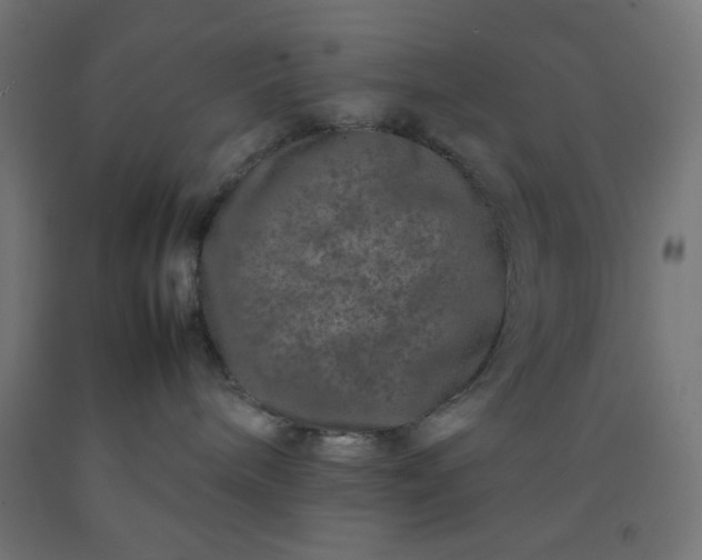 X0000092270240200709281230