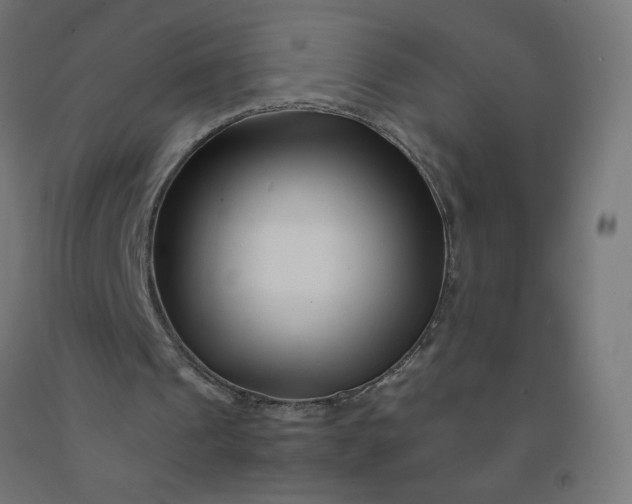X0000092270241200709281230
