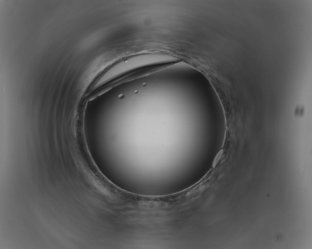 X0000092270242200709281230