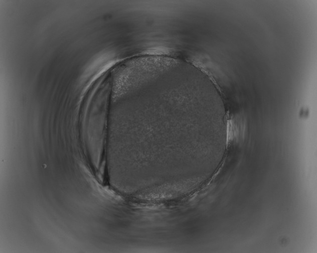 X0000092270243200709281230
