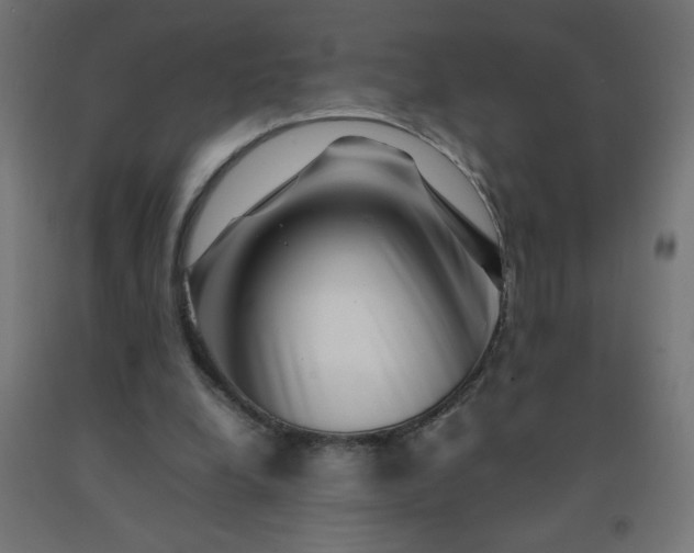 X0000092270248200709281230