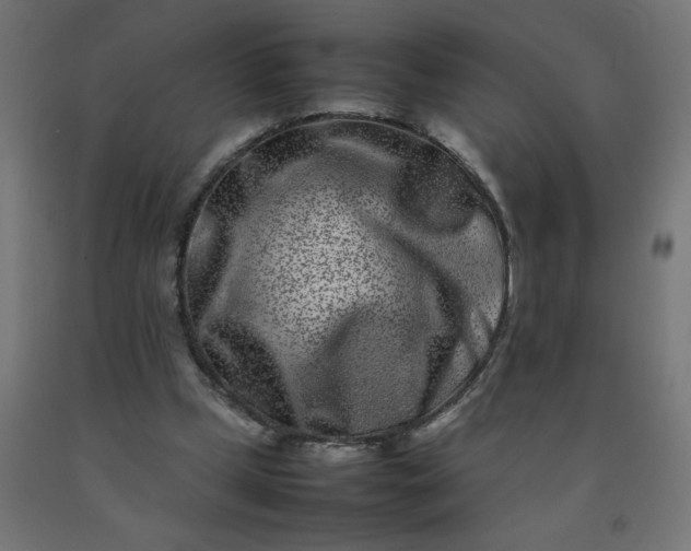 X0000092270249200709281230
