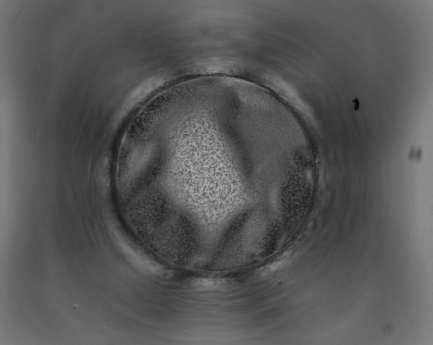 X0000092270250200709281230