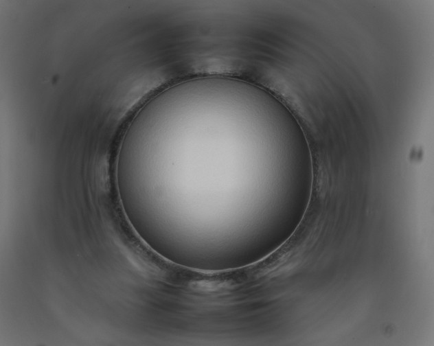 X0000092270251200709281230