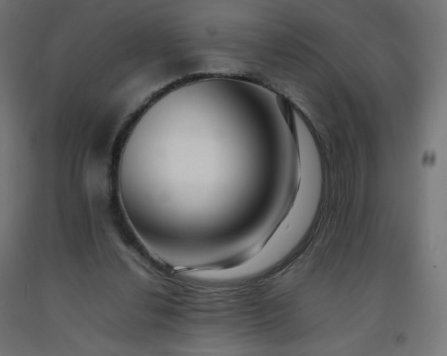 X0000092270252200709281230