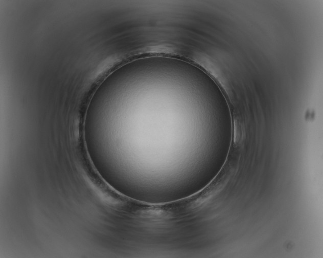 X0000092270253200709281230