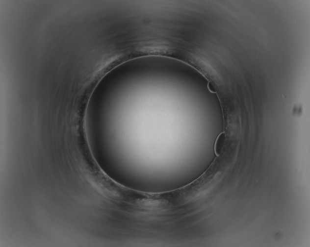 X0000092270255200709281230