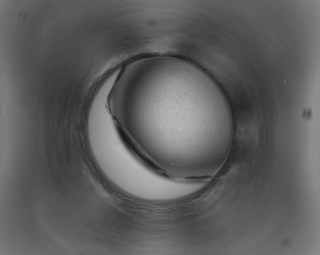 X0000092270256200709281230