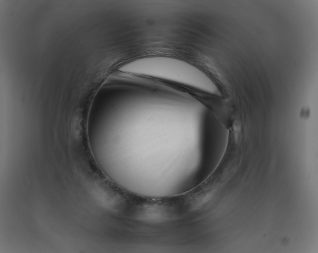 X0000092270259200709281230