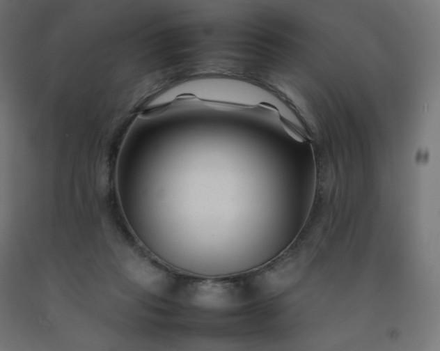 X0000092270261200709281230