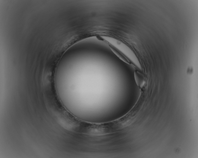 X0000092270263200709281230