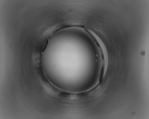 X0000092270264200709281230