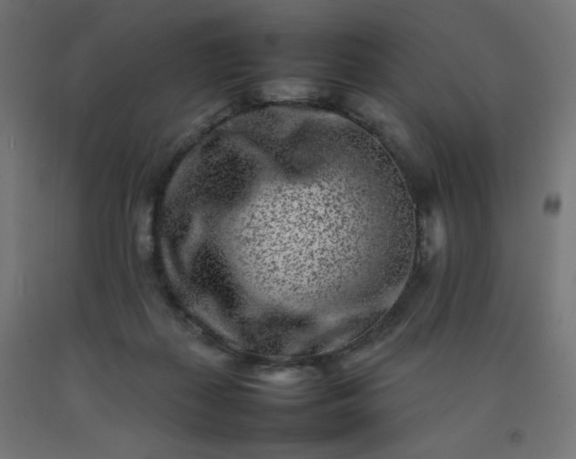 X0000092270267200709281230