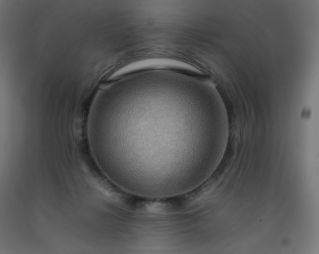 X0000092270268200709281230