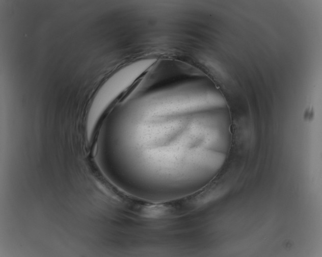 X0000092270269200709281230