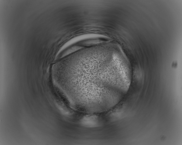 X0000092270271200709281230