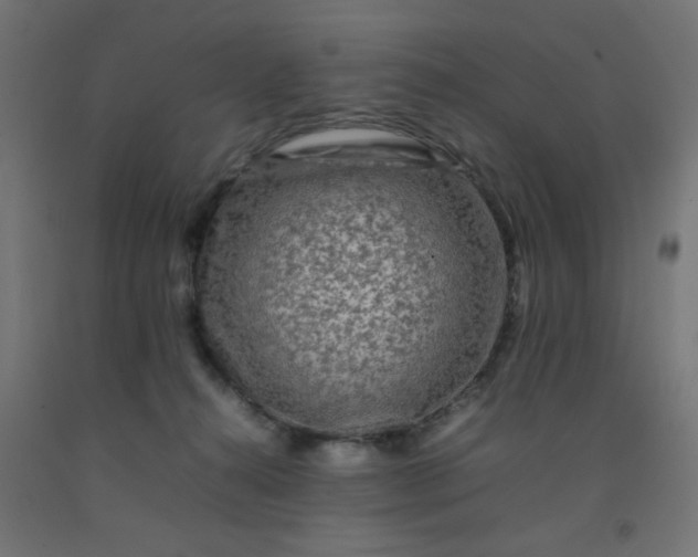 X0000092270272200709281230