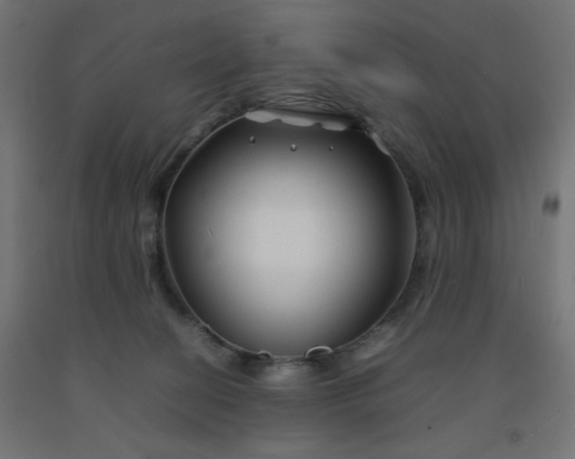 X0000092270274200709281230