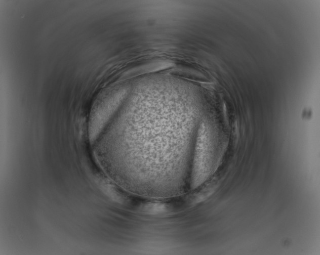 X0000092270276200709281230