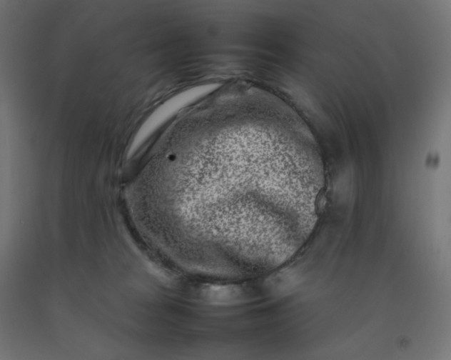 X0000092270277200709281230