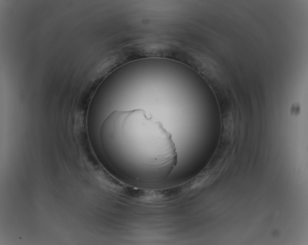 X0000092270278200709281230