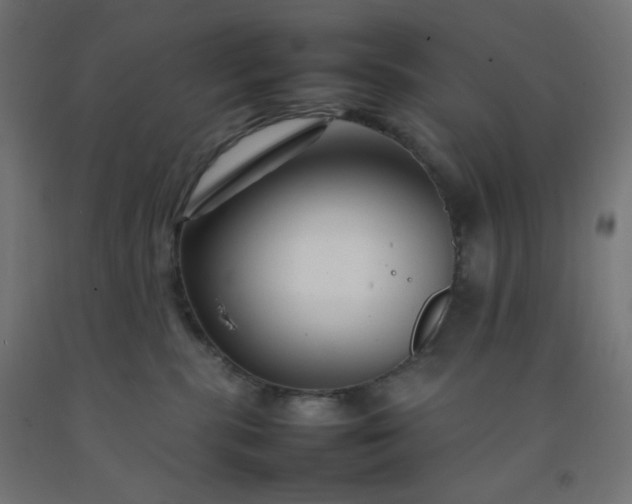 X0000092270283200709281230