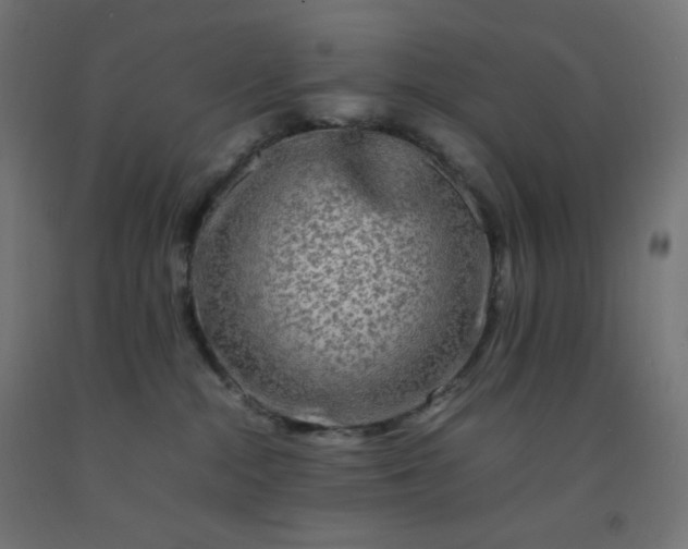X0000092270284200709281230
