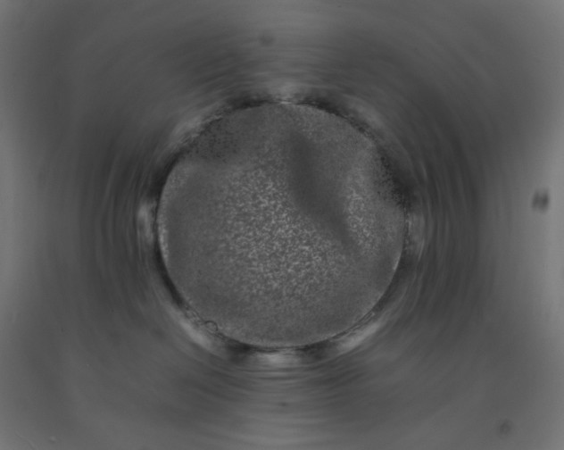 X0000092270286200709281230