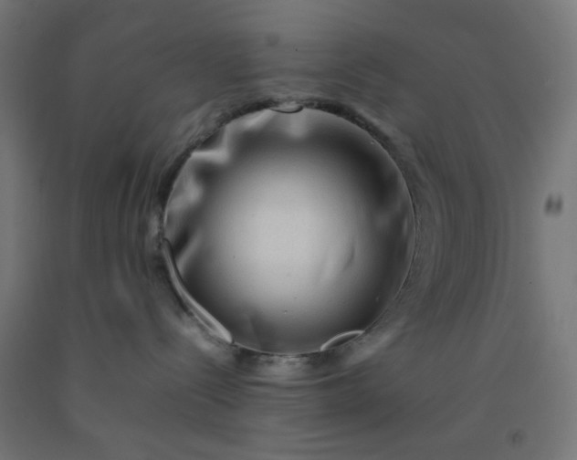 X0000092270288200709281230