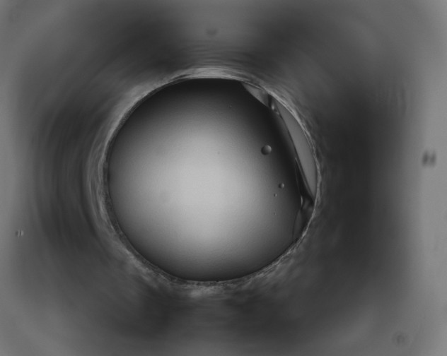 X0000092270289200709281230